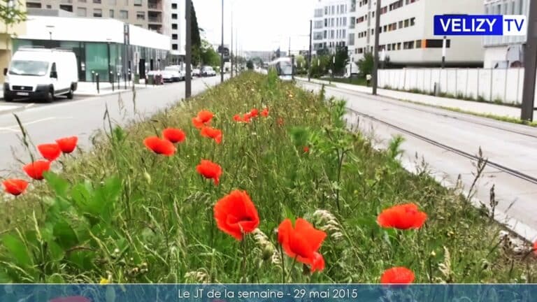 Le JT de la semaine à Vélizy - 29 mai 2015