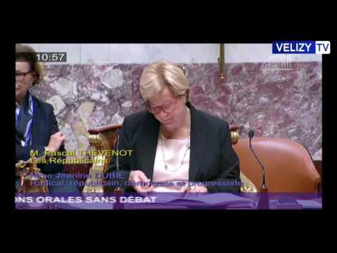 Vélizy TV : Reponse ONF Assemblée Nationale
