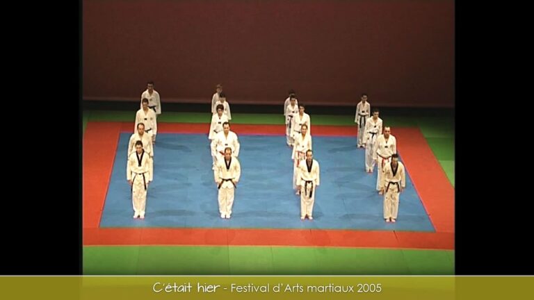Festival d'Arts martiaux 2005 (1ère partie)