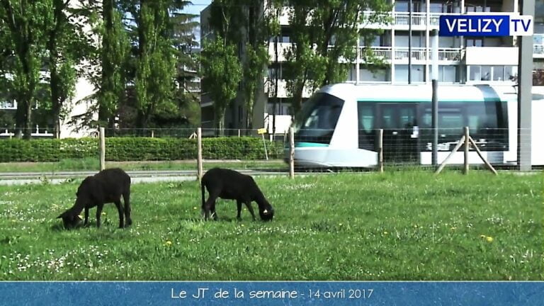 Le JT Vélizy TV du 14 avril 2017