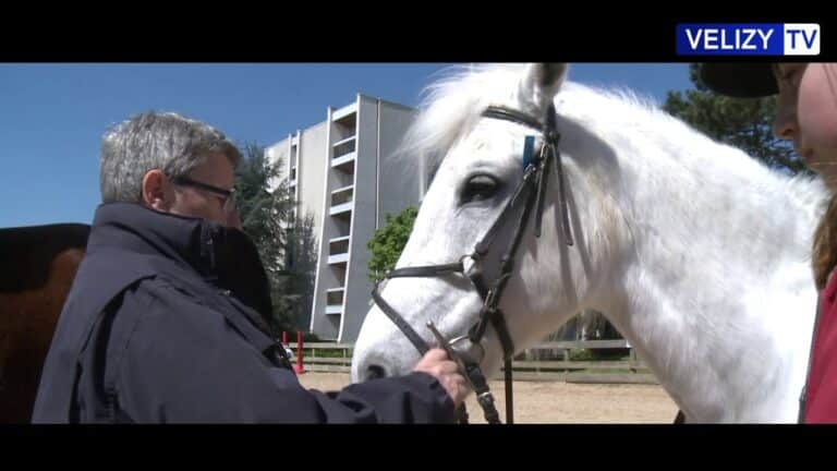 Poney Club de Vélizy